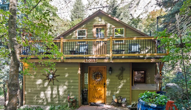 Private Ski/vacation cabin in canyon forest below ski resorts!