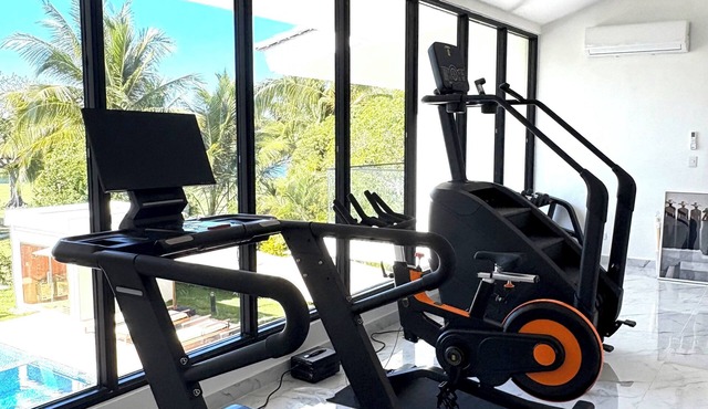 Punta Cana luxury villa gym, sauna, pool lake view