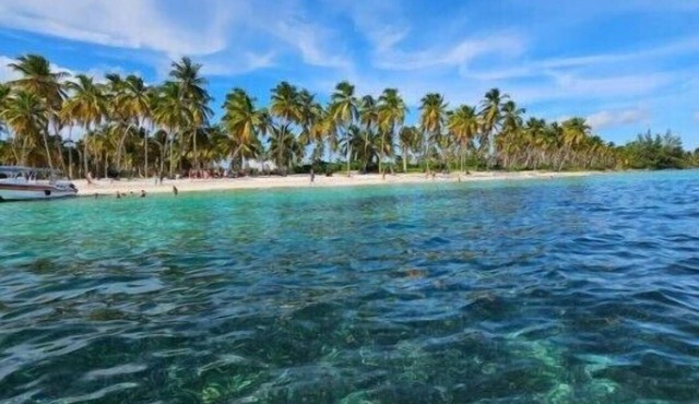 Saona Lodge