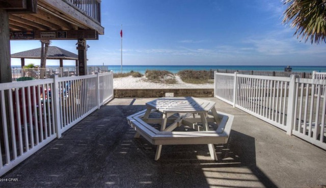 Sunbird Paradise - 1383972