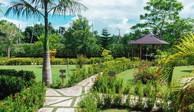 Tropical Retreat with Private Pool in Samaná for families and Groupsnn
