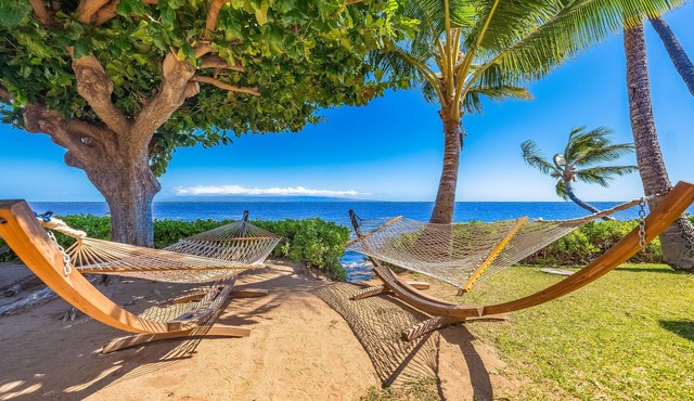 Tropical studio in oceanfront resort w/pool, WiFi, & kitchenette - snowbirds OK