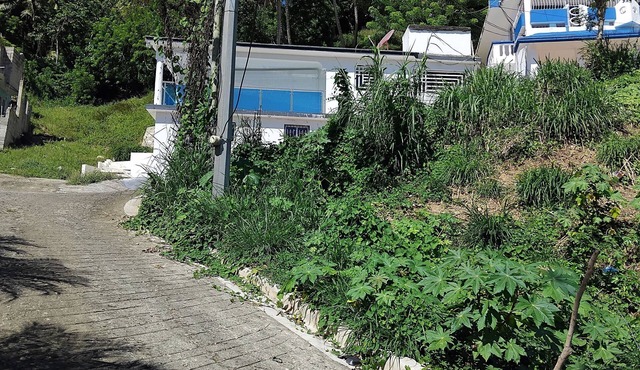 Villa de Angela en Samana