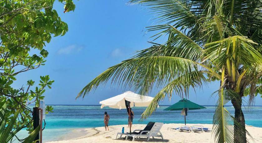 Photo of Others in Dhiffushi