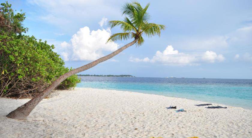 Photo of Others in Maafushi