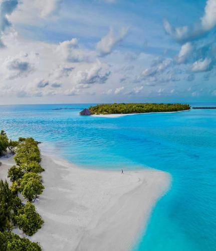 Photo of Others in Dhiffushi