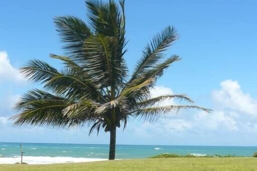 Photo of Others in Cabarete