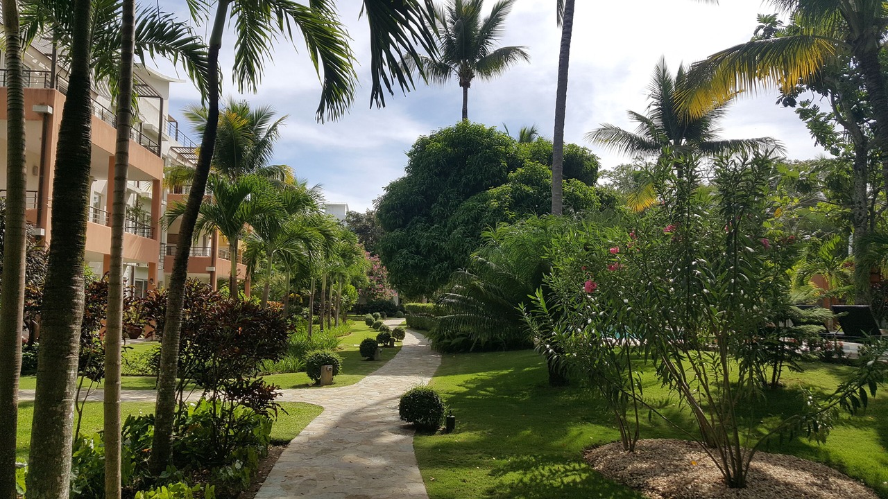 Photo of Outdoor in Playa Chiquita