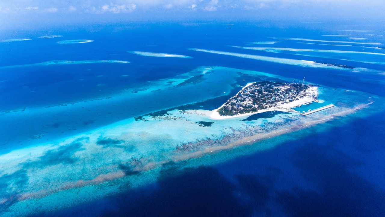 Photo of Others in Dhangethi