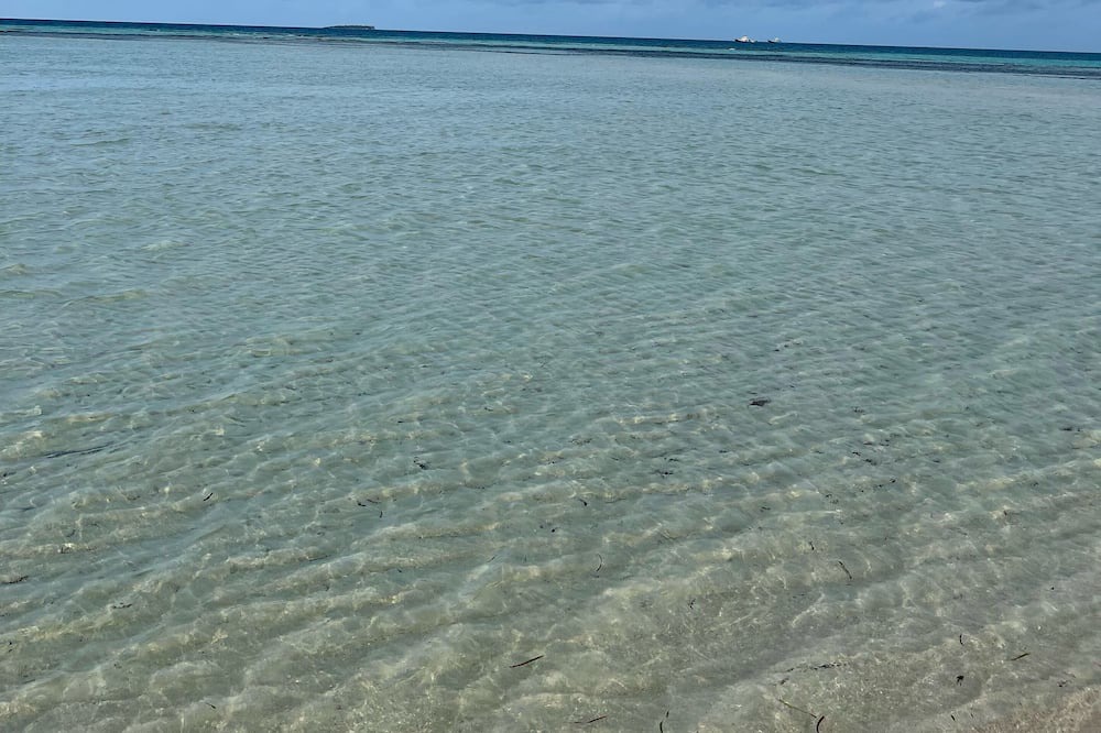 Photo of Others in Kanifinolhu Island