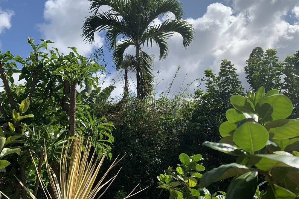 Photo of Outdoor in Waimanalo Beach