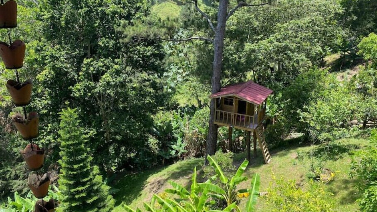 Photo of Outdoor in Constanza