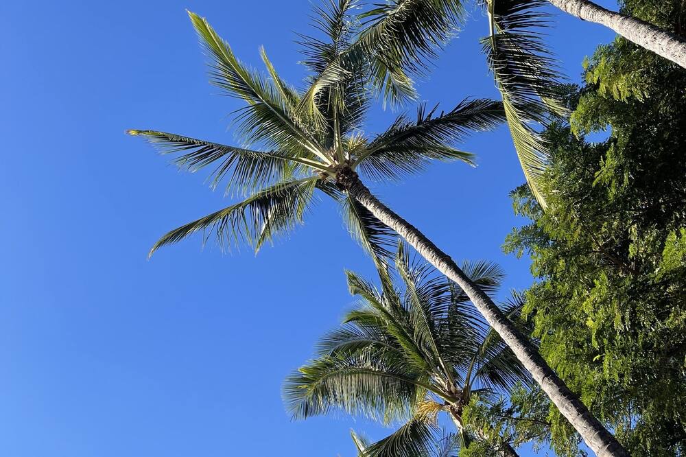 Photo of Outdoor in Halawa
