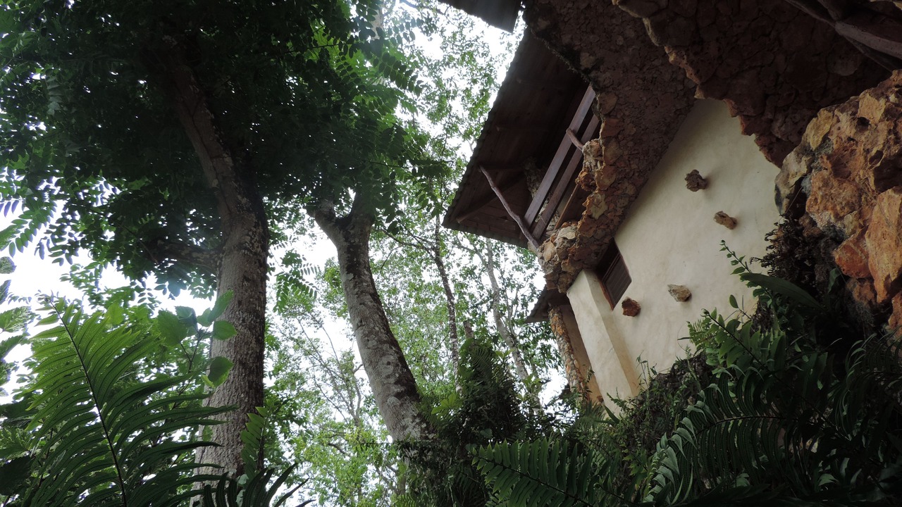 Photo of Outdoor in Sabana de la Mar