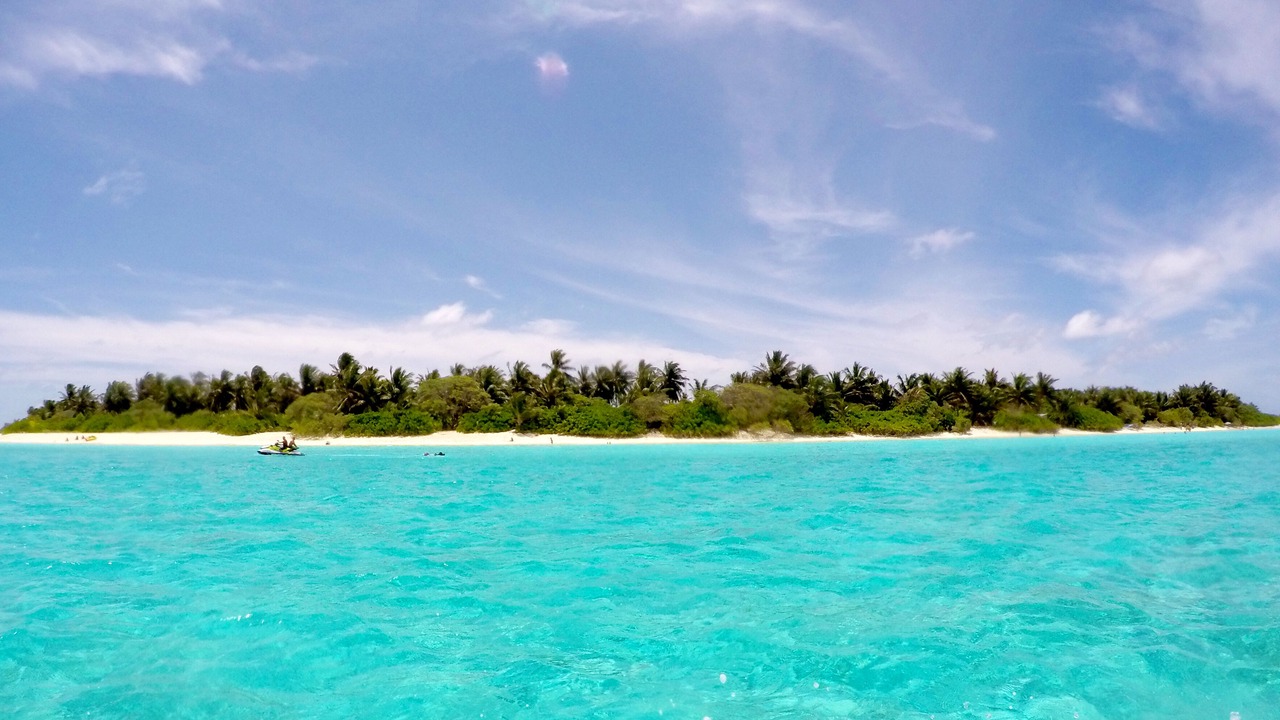 Photo of Others in Thoddoo