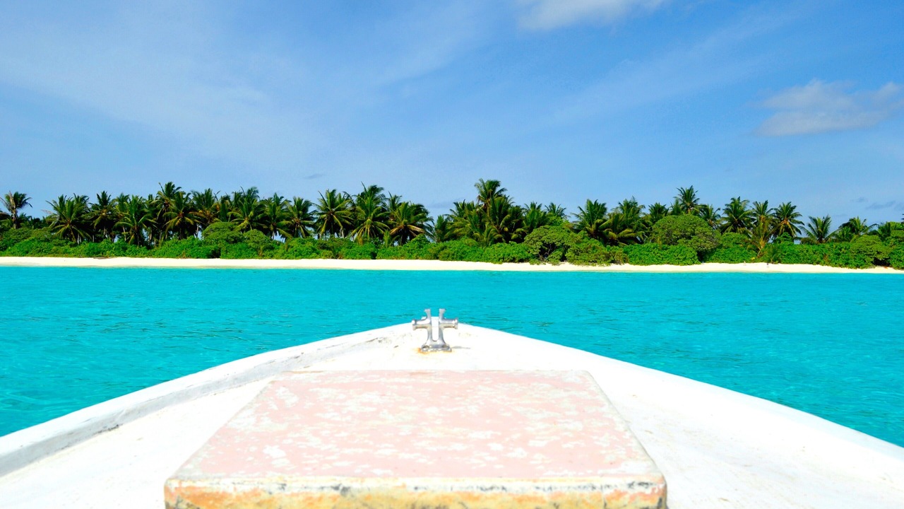 Photo of Others in Thoddoo