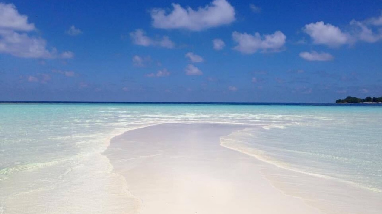 Photo of Others in Thoddoo