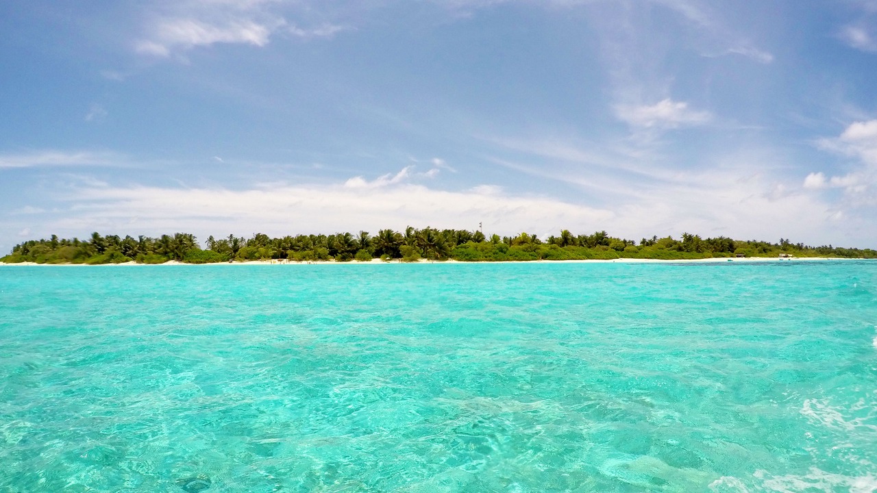 Photo of Others in Thoddoo