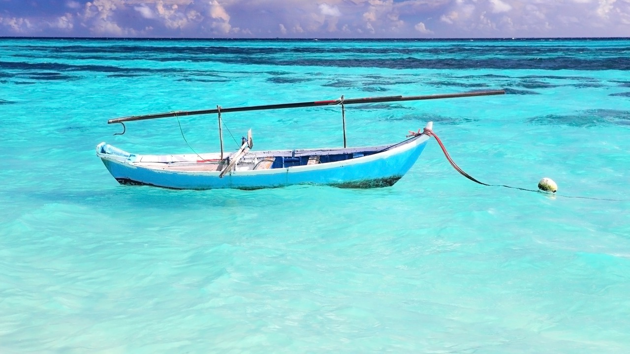Photo of Others in Thoddoo