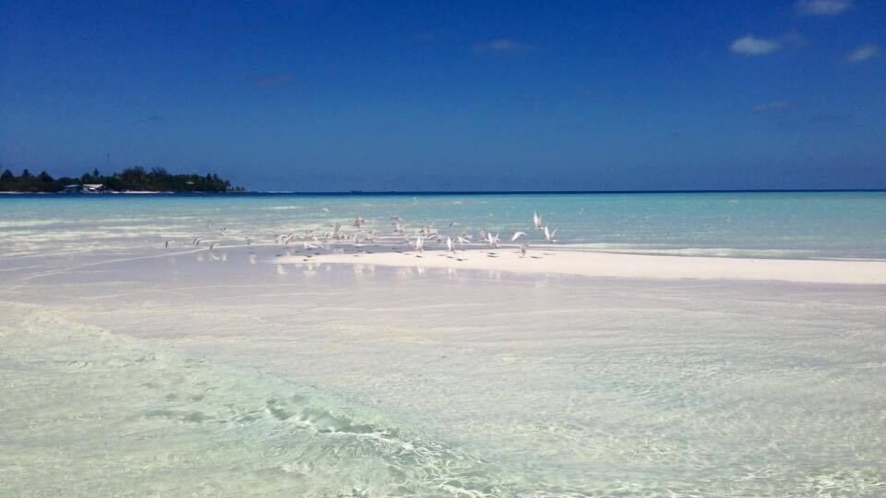 Photo of Others in Thoddoo