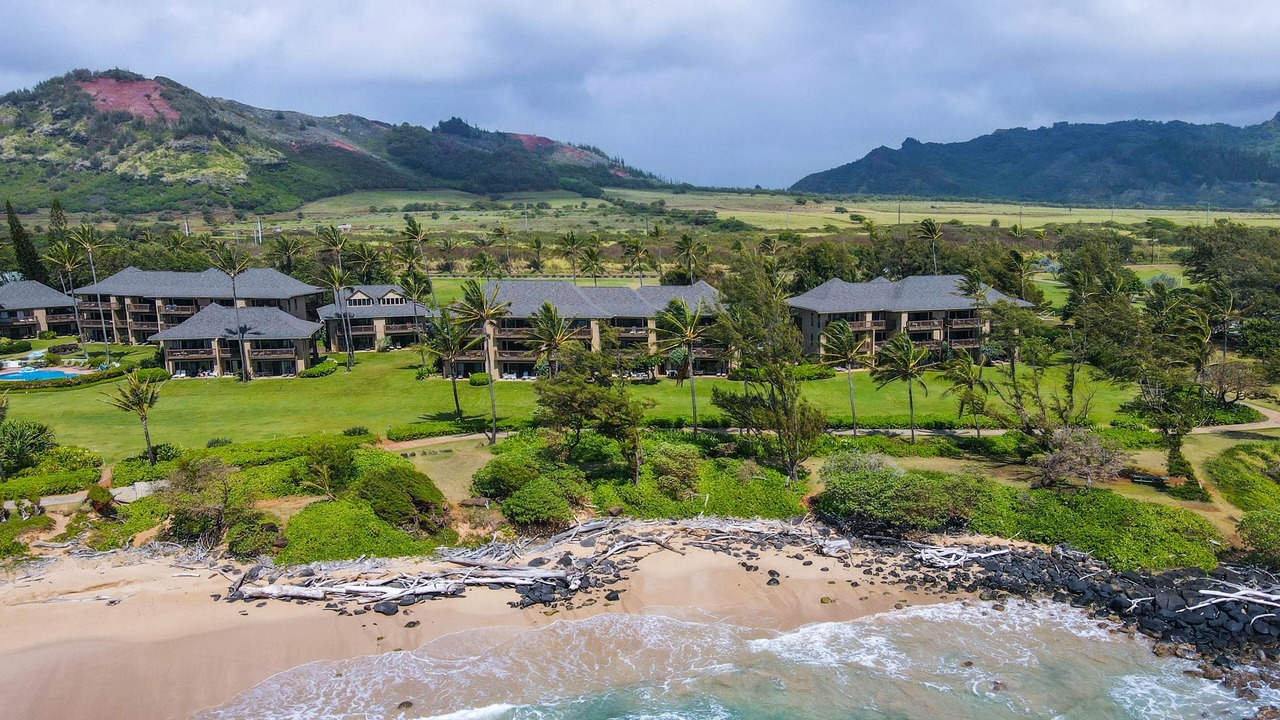Photo of Others in Lihue