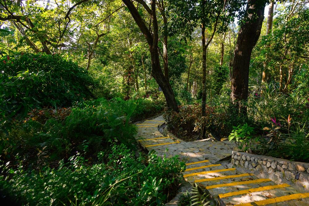 Photo of Outdoor in Puerto Plata