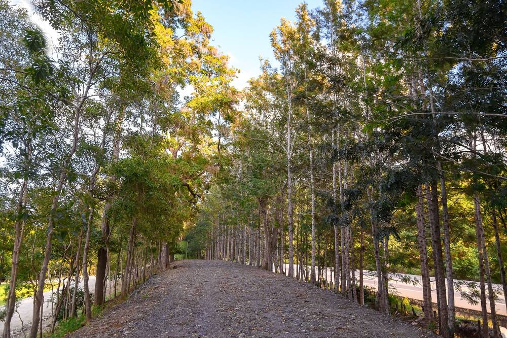 Photo of Outdoor in Puerto Plata