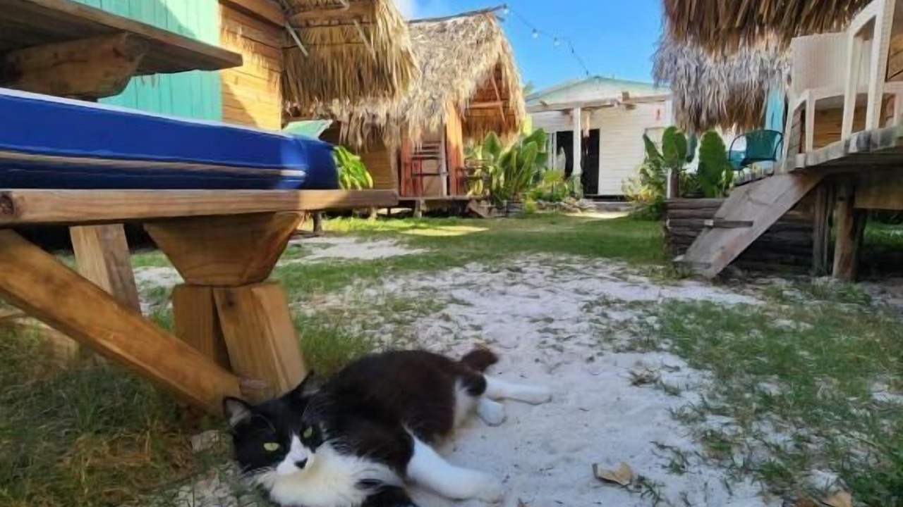 Photo of Outdoor in Mano Juan