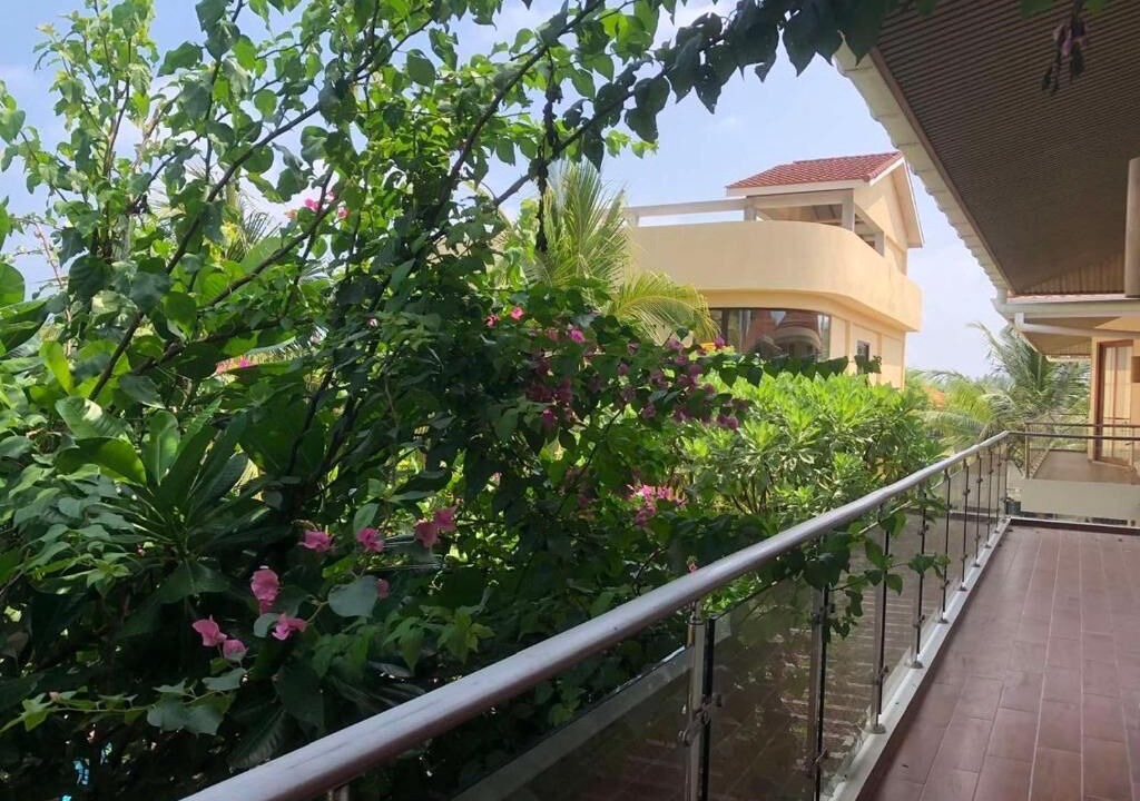 Photo of Outdoor in Hanimaadhoo