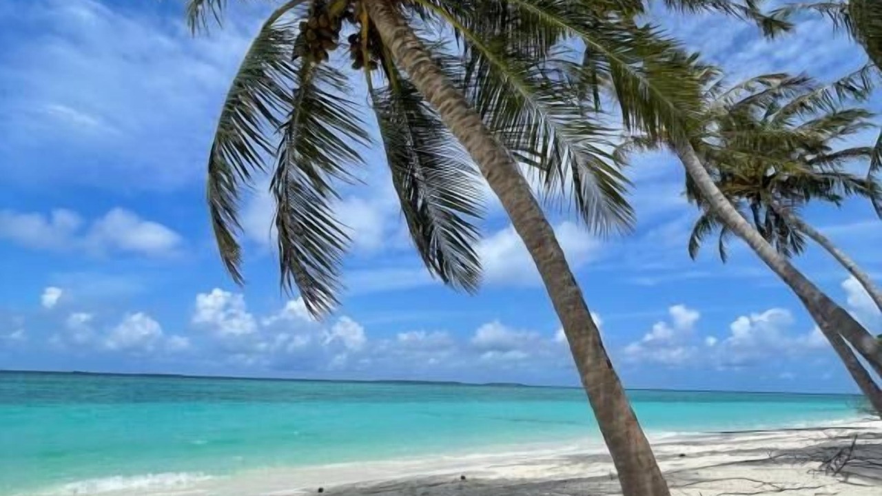 Photo of Others in Hanimaadhoo