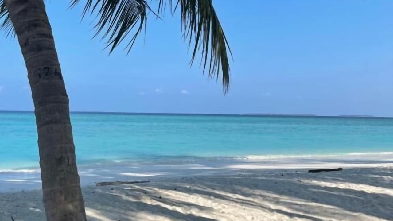 Photo of Others in Hanimaadhoo