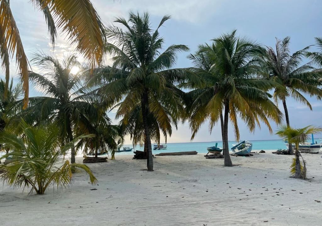 Photo of Others in Hanimaadhoo