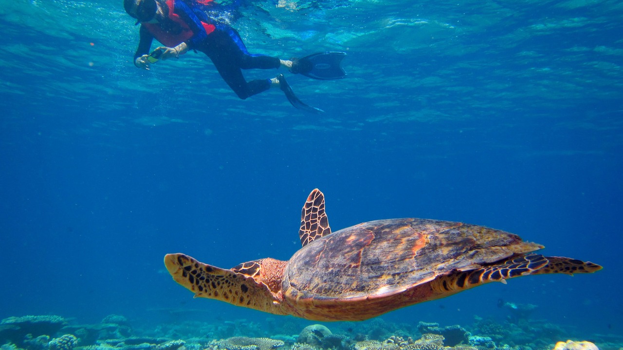 Photo of Others in Kihaadhuffaru Island