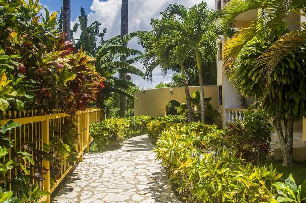 Photo of Outdoor in Cabarete