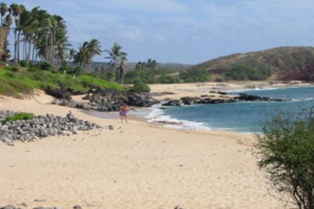 Photo of Others in Maunaloa