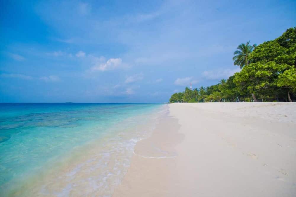 Photo of Others in Dharavandhoo