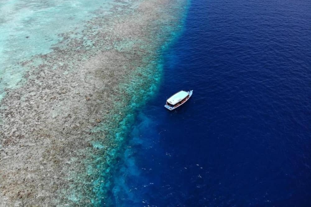 Photo of Others in Dharavandhoo