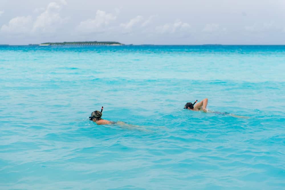 Photo of Others in Dharavandhoo