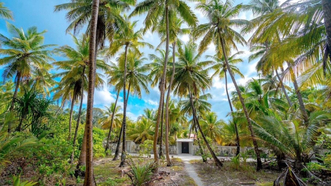 Photo of Outdoor in Fuvahmulah