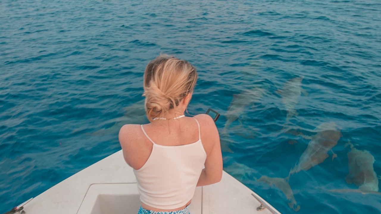 Photo of Others in Hondaafushi