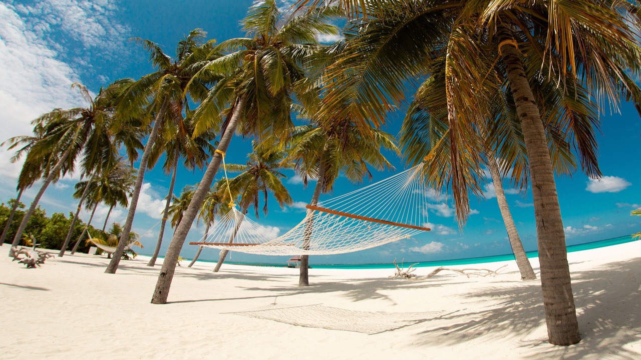 Photo of Others in Hondaafushi