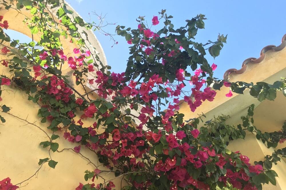 Photo of Outdoor in Yarary - Cap Cana