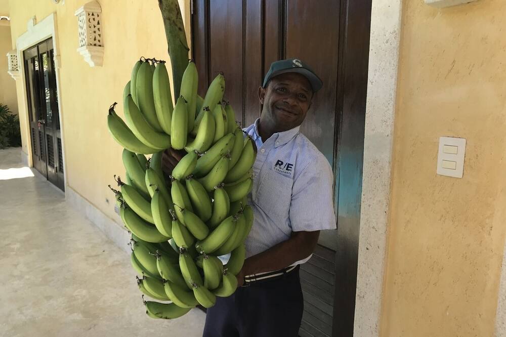 Photo of Others in Yarary - Cap Cana