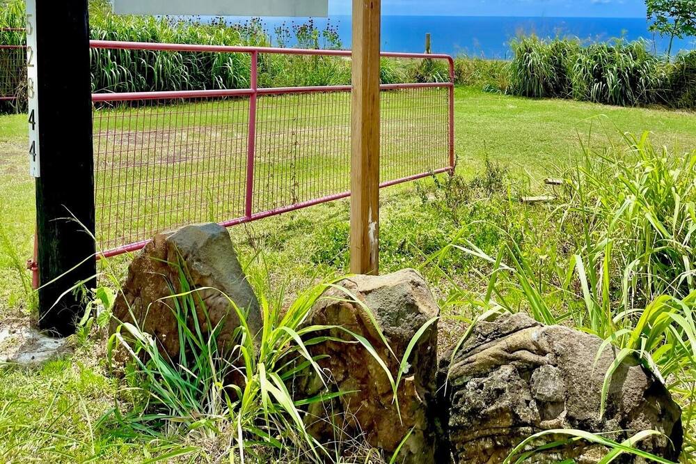 Photo of Others in Naalehu