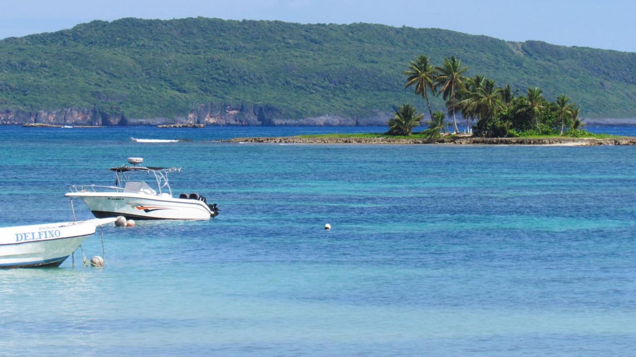 Photo of Others in Las Galeras