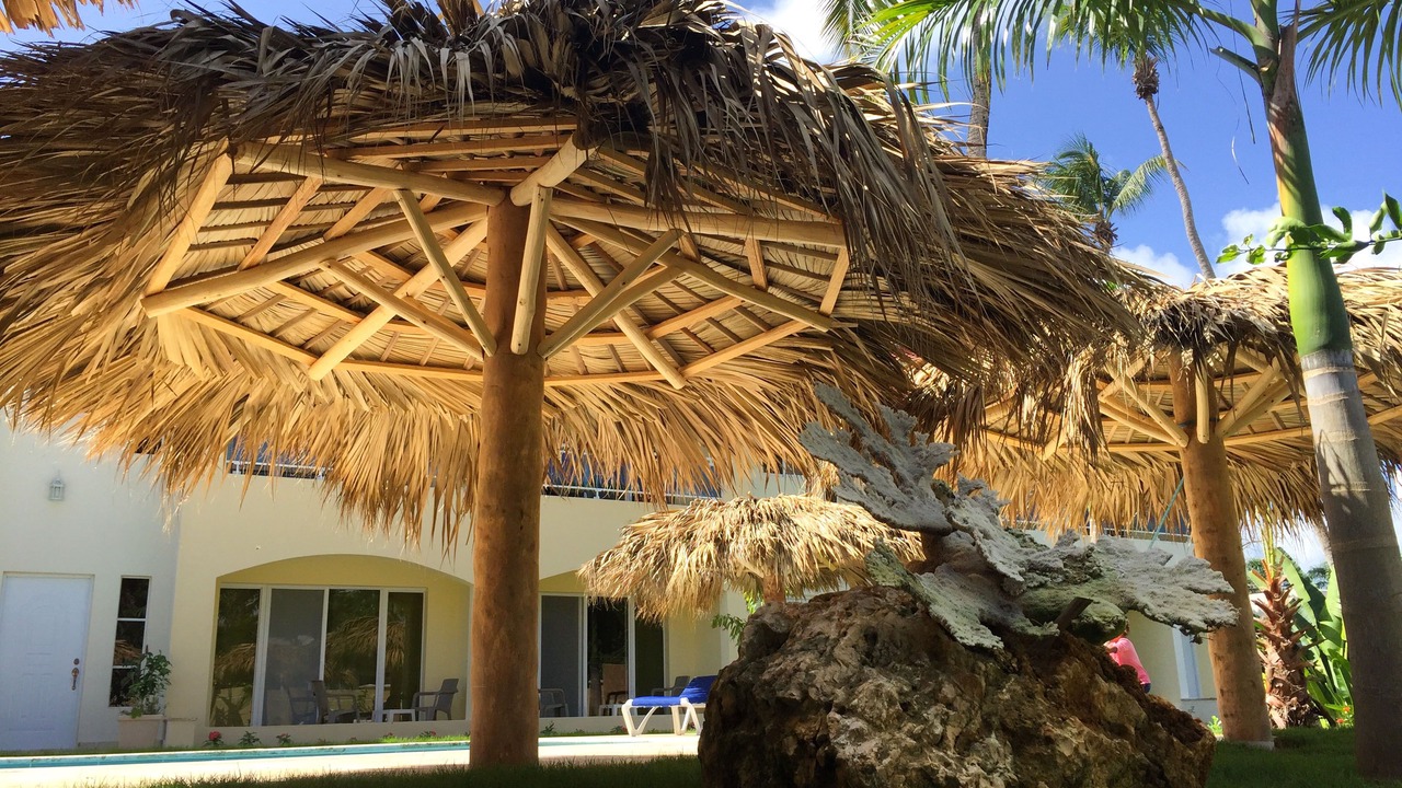 Photo of Outdoor in Las Galeras
