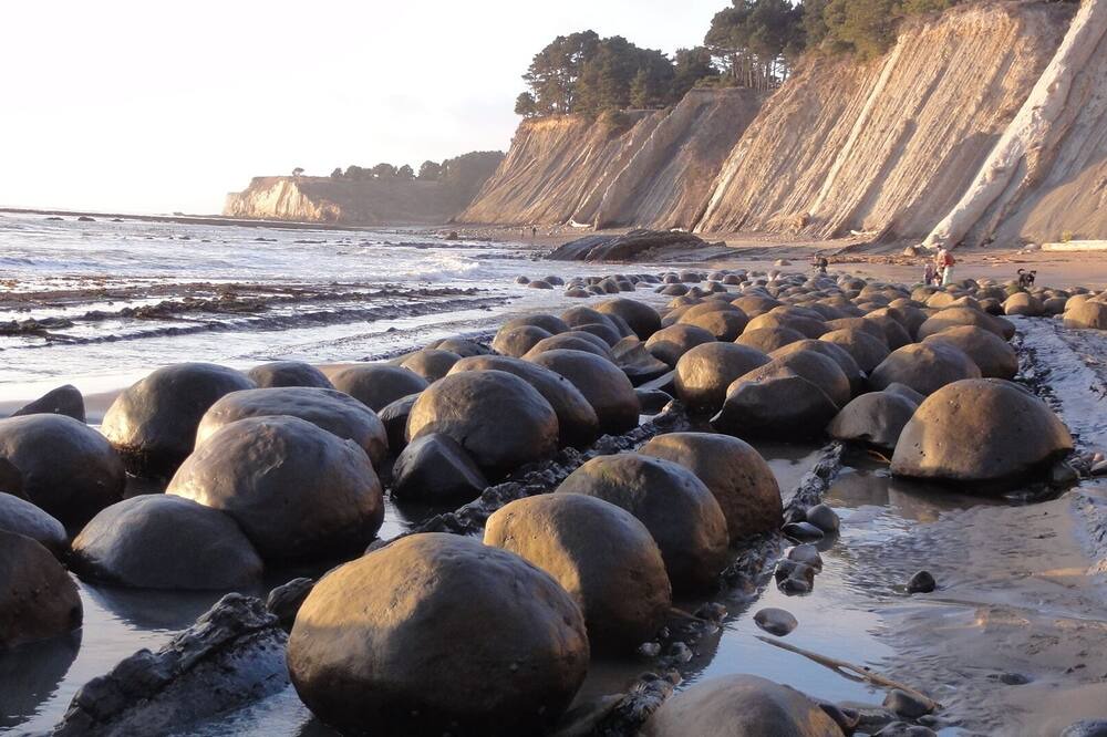Photo of Others in Mendocino