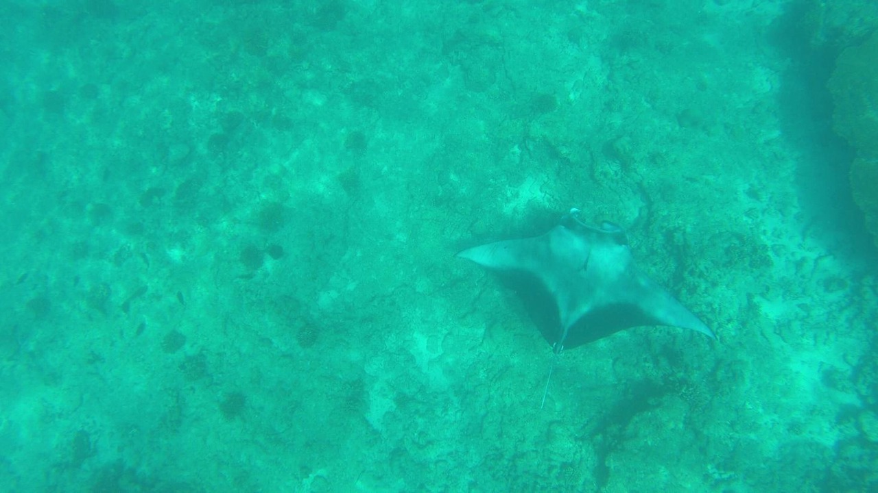 Photo of Outdoor in Omadhoo