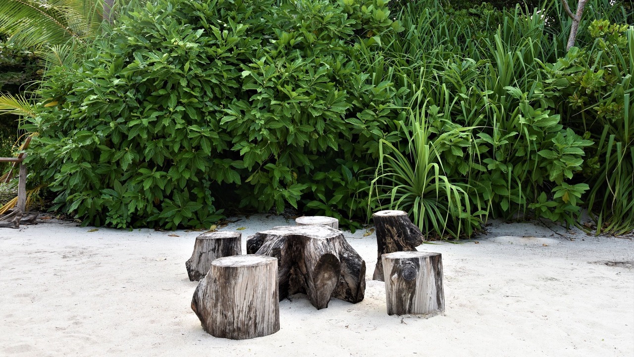 Photo of Outdoor in Omadhoo