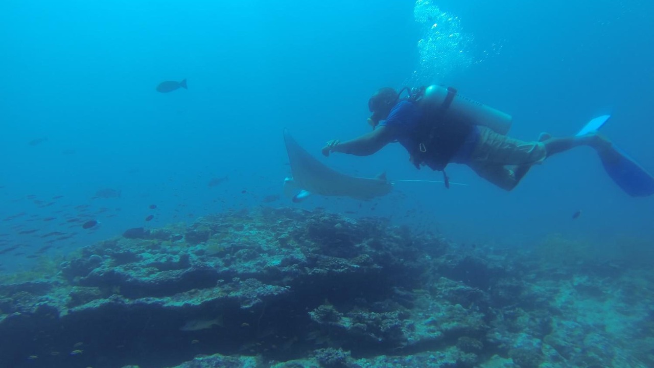 Photo of Others in Omadhoo